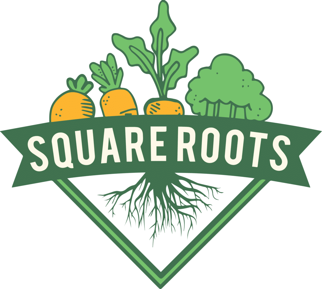 square-roots-enactus-saint-marys